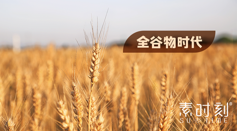 素时刻丨全谷物时代下的健康饮食