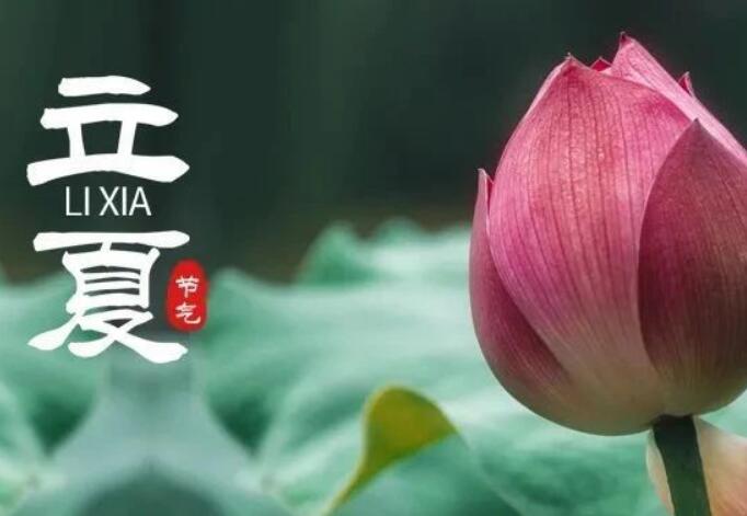 二十四节气丨暮春至，立夏始，顺应天时养身心