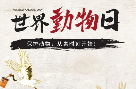 素时刻丨保护动物，从素食开始