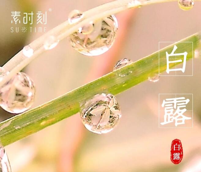 二十四节气丨白露养生，养气润燥勿露身
